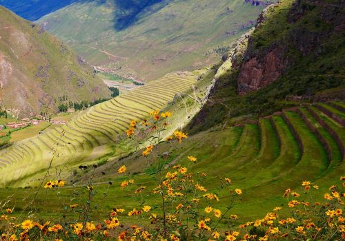 pisac